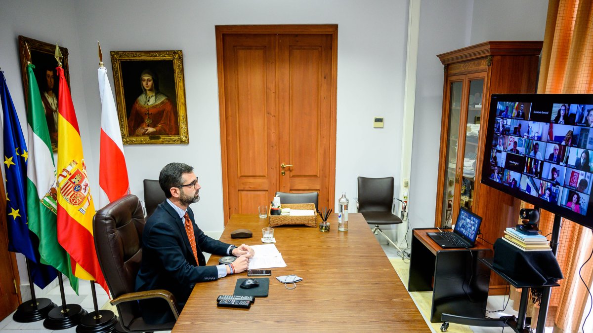 El alcalde durante el Pleno telemático del Ayuntamiento de Almería