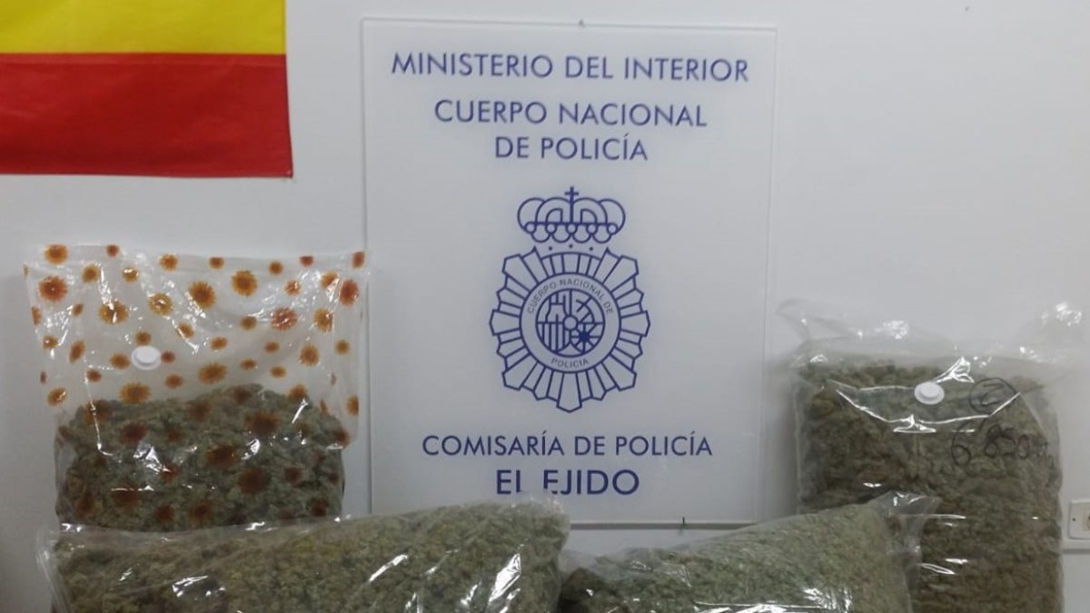 Los 29 kilos de marihuana iban fraccionados en cuatro bolsas herméticas.