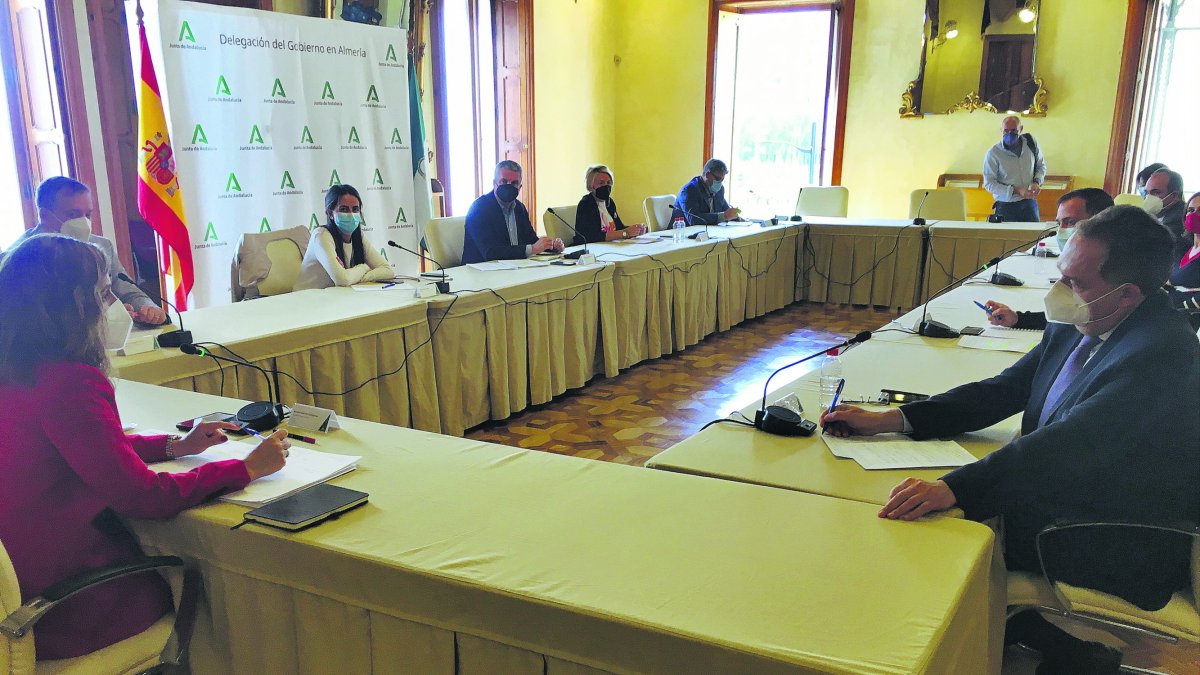 Maribel Sánchez Torregrosa, presidiendo la comisión de coordinación de los delegados andaluces en Almería.