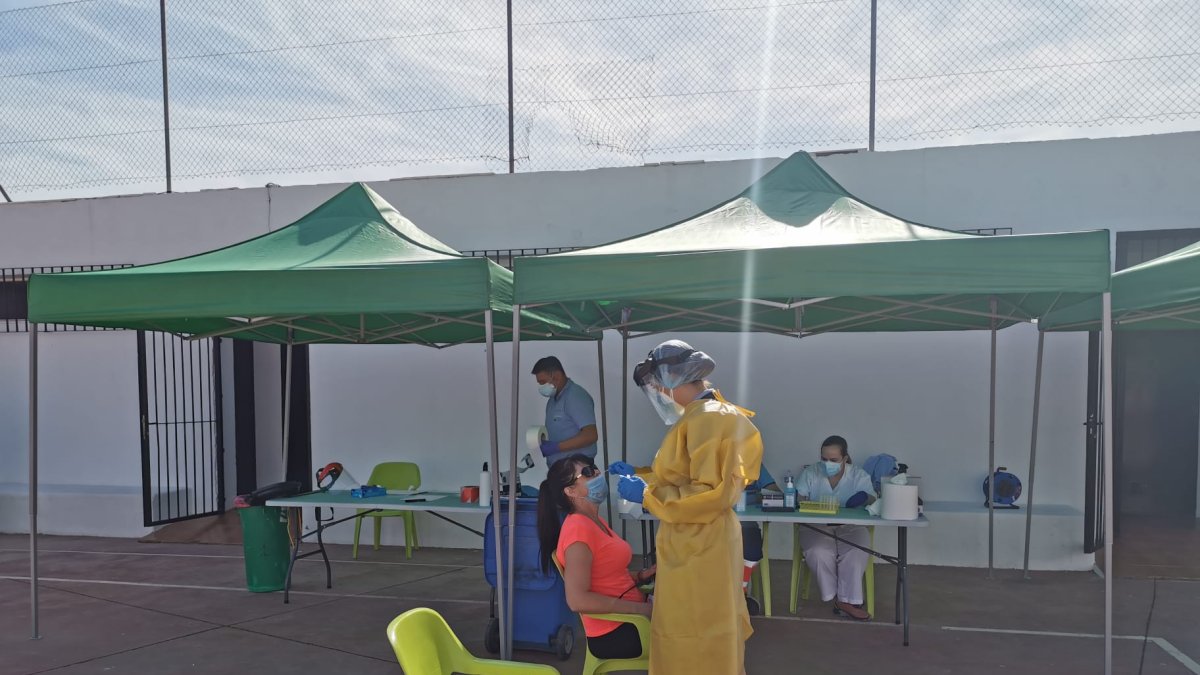 Los cribados vuelven otra semana más.