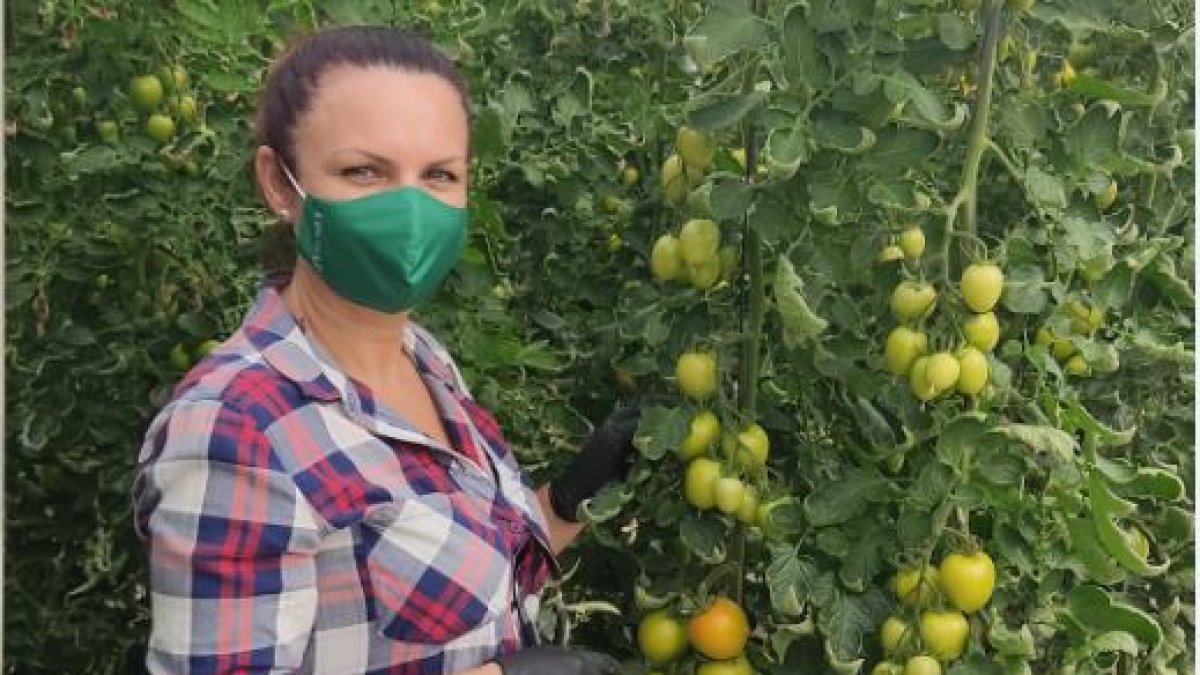 La muestra ‘Los jéroes del tomate’ representa a miles de mujeres y hombres.