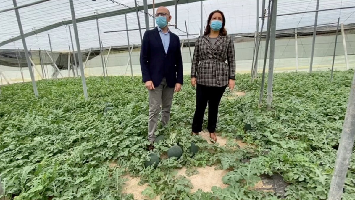 Visita de Carmen Crespo a una explotación agrícola de Adra.
