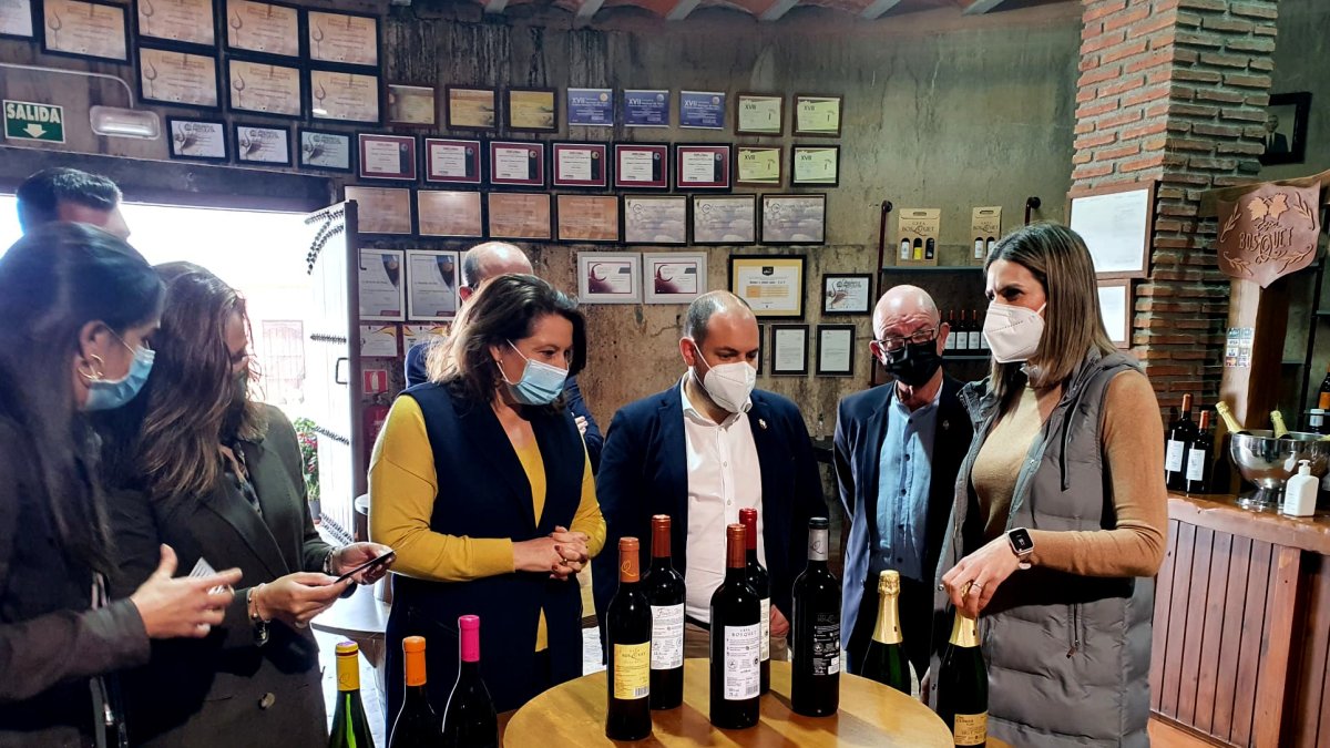 Visita a las instalaciones de Bodegas y Viñedos Laujar (Cepa Bosquet).