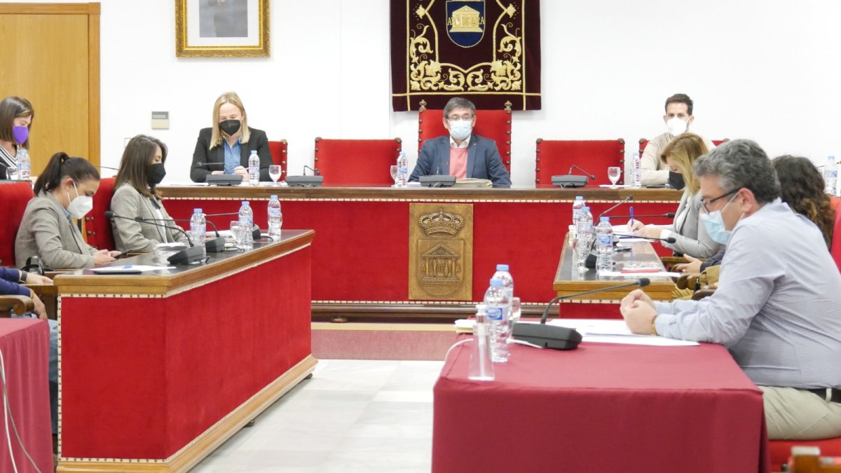 Sesión plenaria en el mes de mayo en Adra.