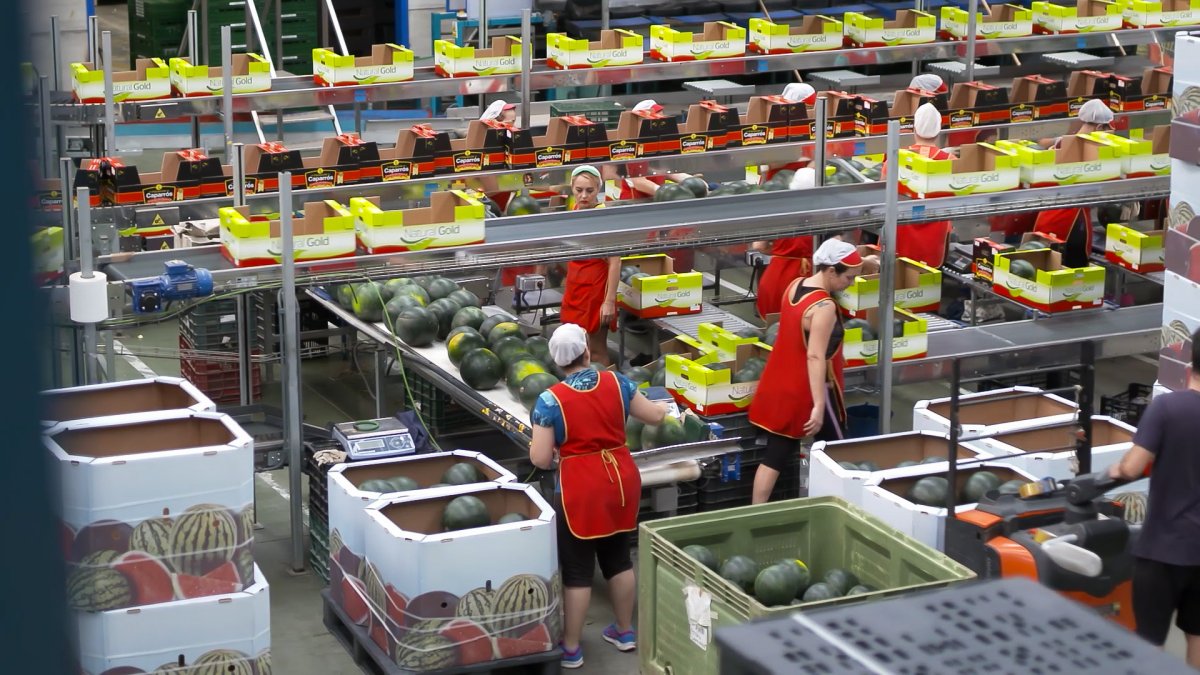 La empresa está formada por 400 empleados en plena temporada.