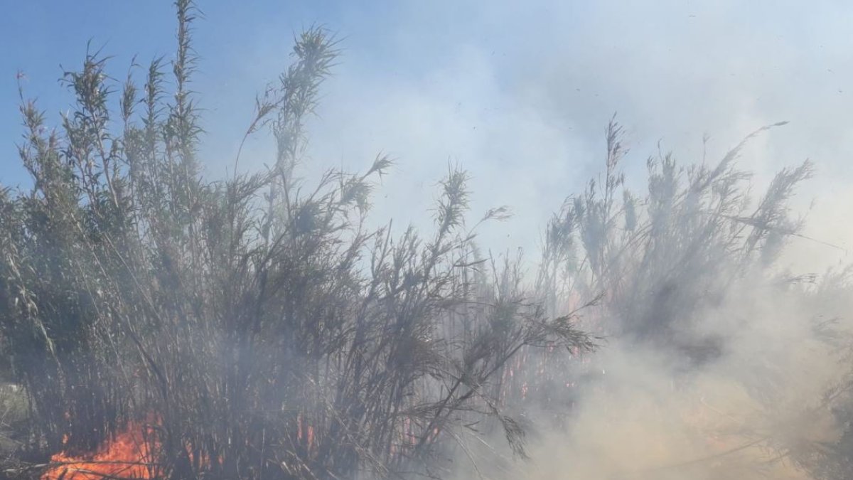 Incendio originado en Los Marteses, en Serón: Foto del Plan Infoca
