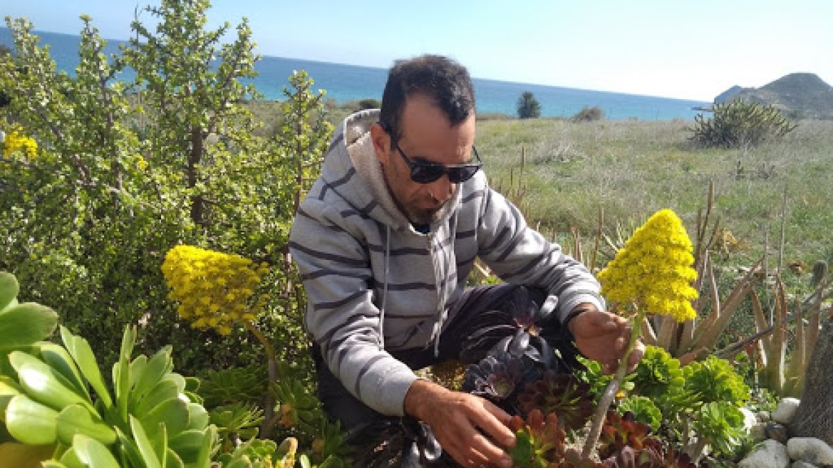 Isaac Sanabria, creador de Cactus Almeraya.