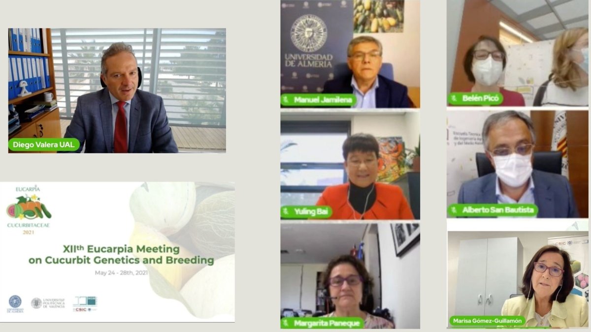 Imagen del encuentro.