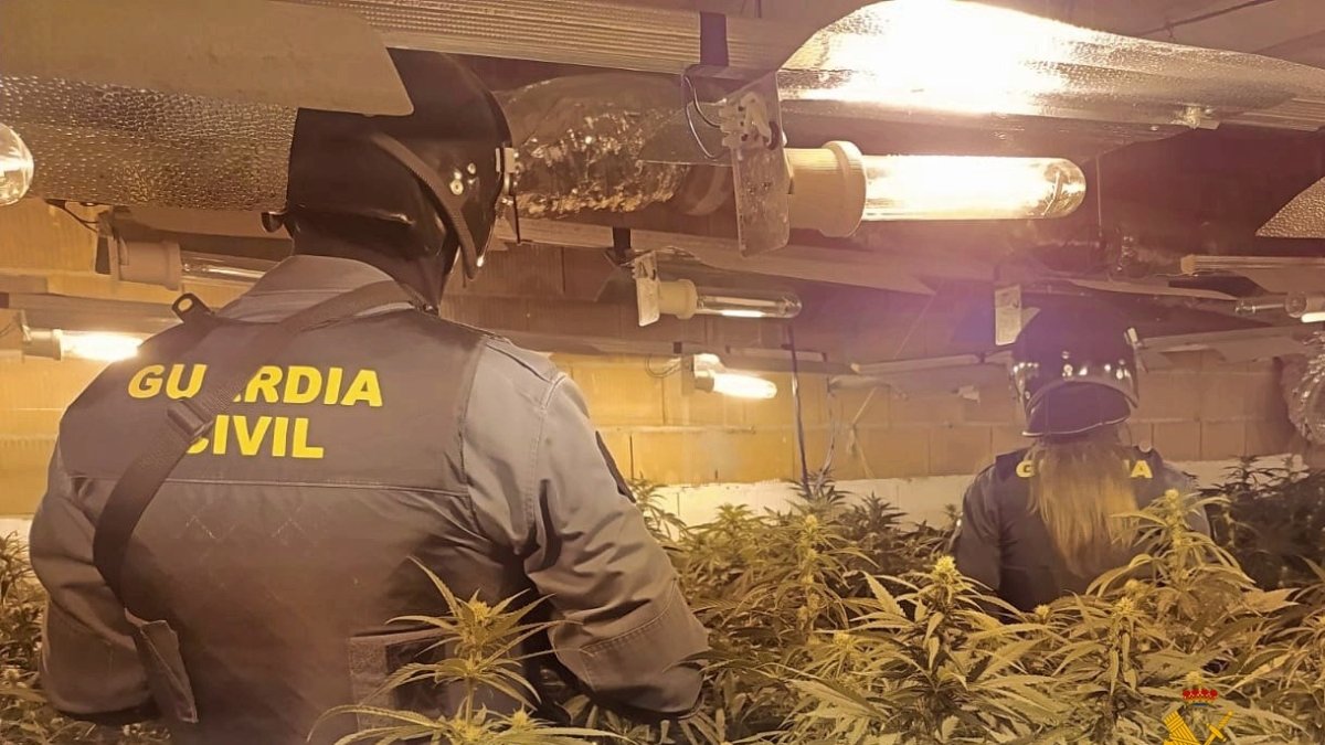 Nueva actuación de la Guardia Civil.