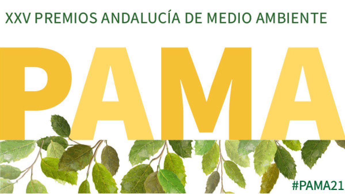 Los premios tienen cinco categorías.