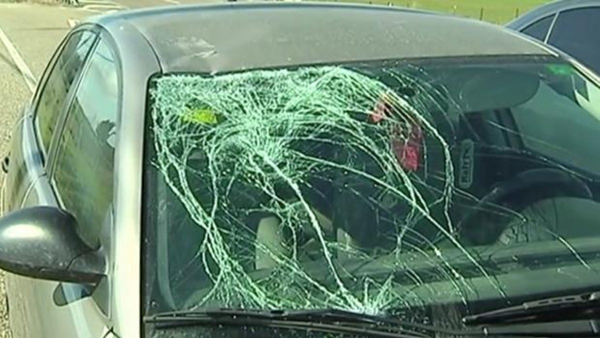 Así quedó el vehículo que arrolló a la víctima del atropello.