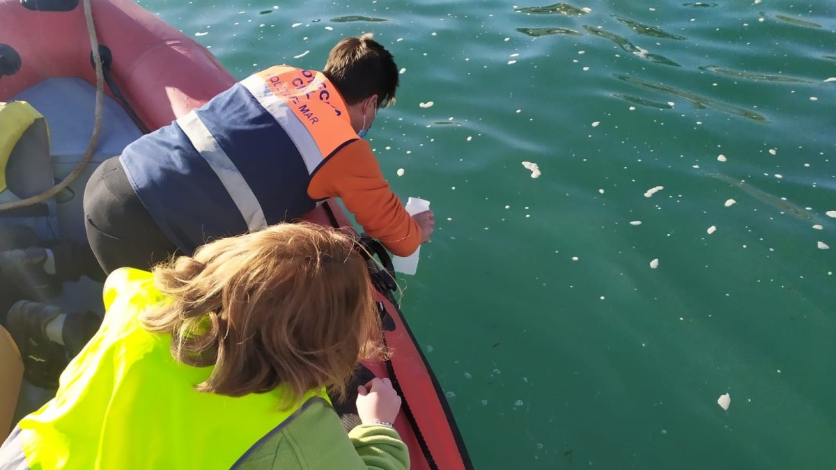 Operarios recogiendo muestras del agua para los estudios.