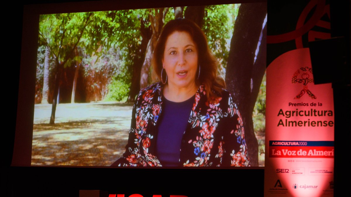 Intervención de Carmen Crespo a través de un vídeo.