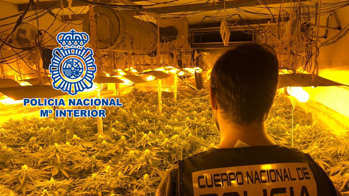 La Policía Nacional ha intervenido en dos viviendas de La Chanca.