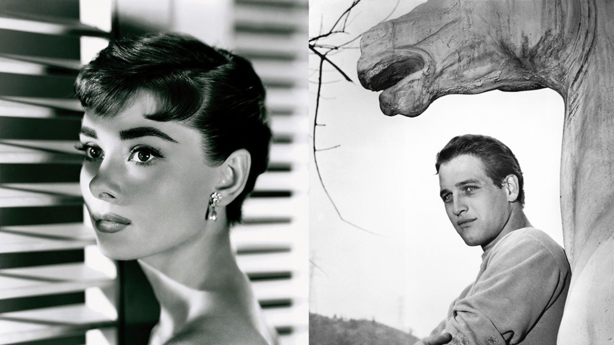 Dos de los retratos expuestos en el marco de la exposición del CAF. En este caso, Audrey Hepburn y Paul Newman.
