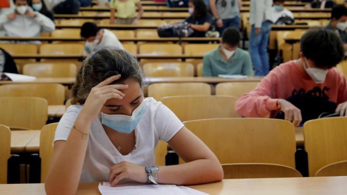 Las carreras más demandadas en la Universidad de Almería.