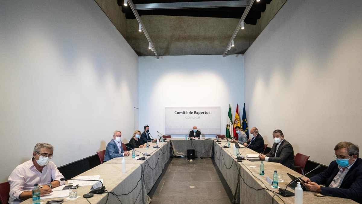Reunión del Comité de Expertos.