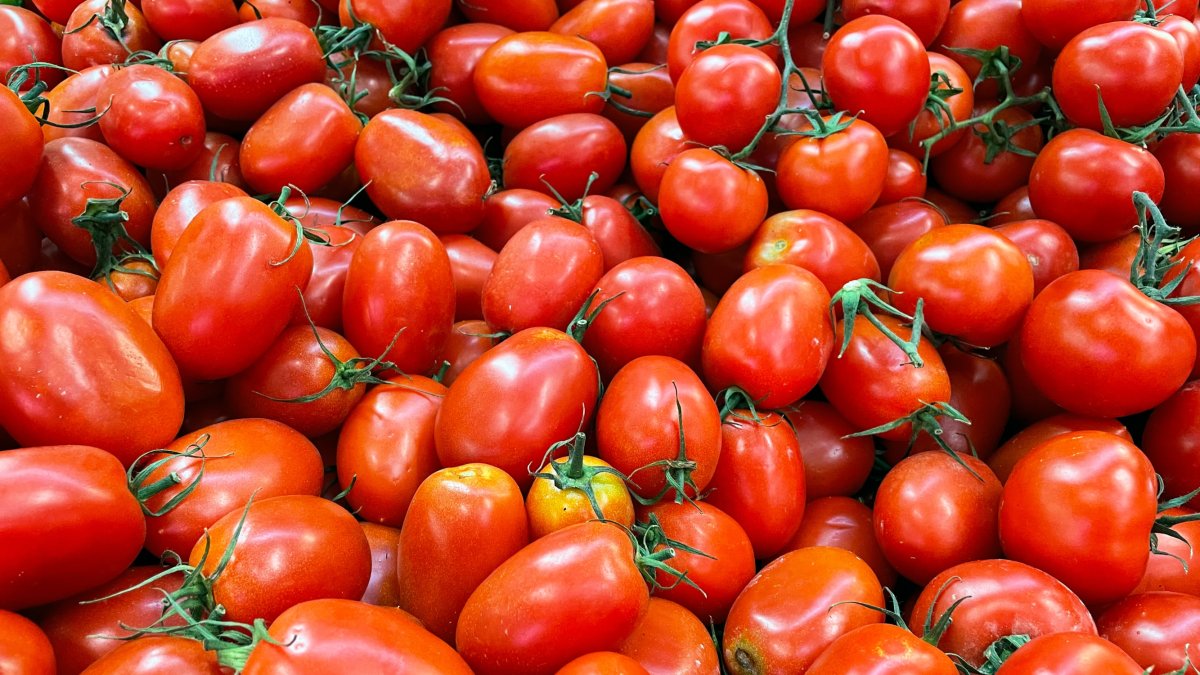 La industria del tomate pide ayuda a la UE.