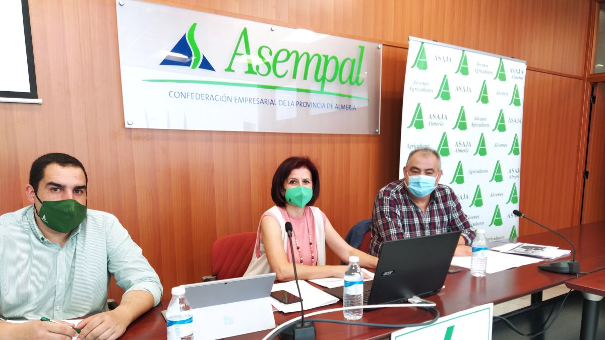 Presentación del balance.