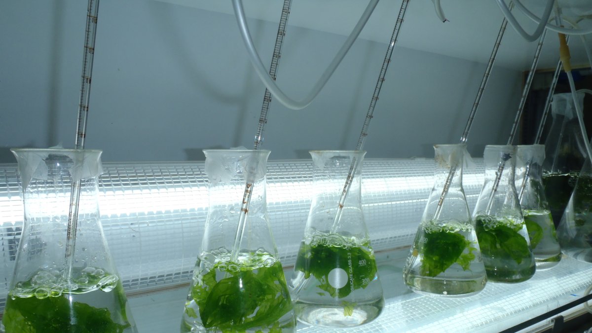 Los investigadores se centran en el futuro de la agroalimentación.