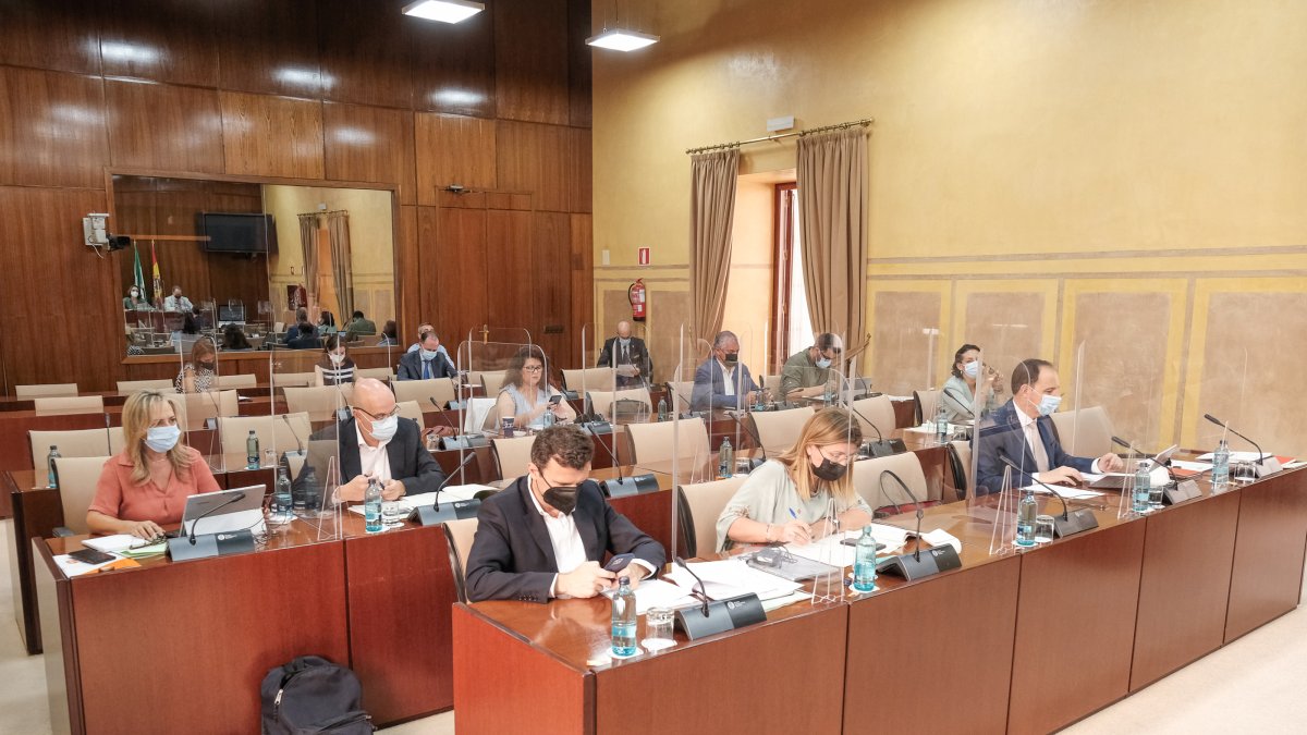Rosalía Espinosa, en primera fila, este jueves en el Parlamento.