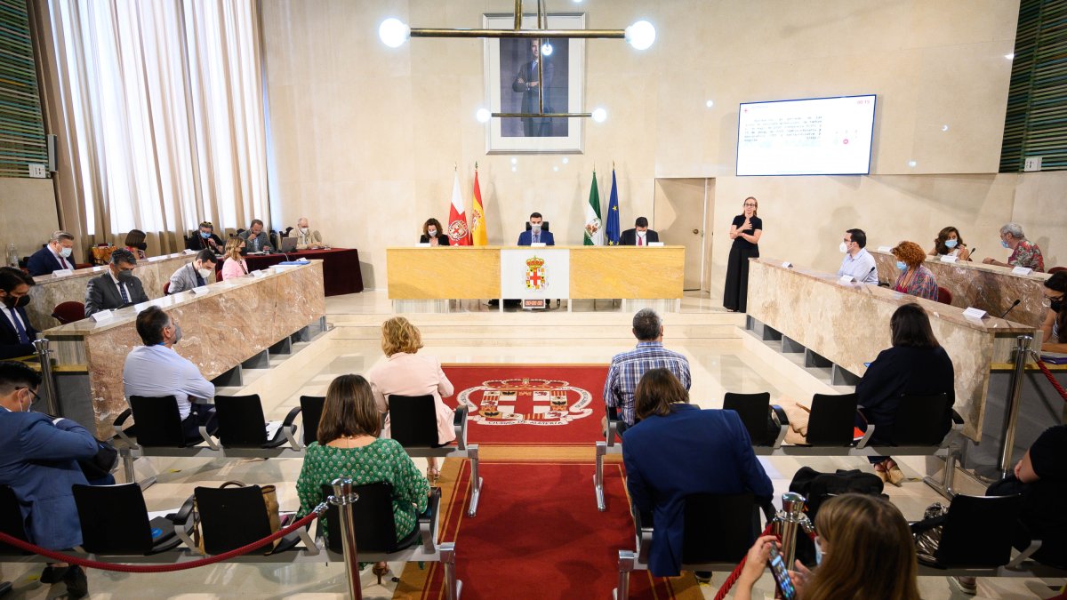 Todos los concejales del Ayuntamiento durante el Pleno