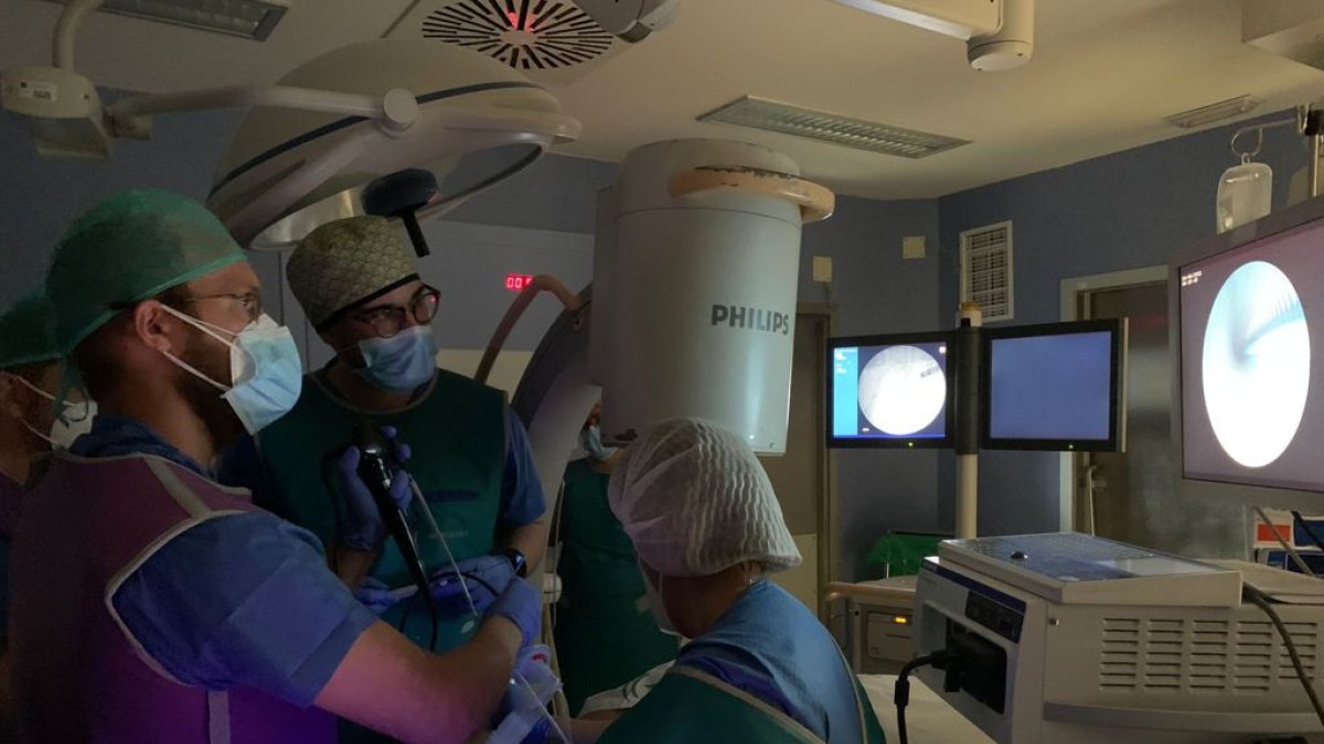 Un momento de la técnica pionera en Torrecárdenas.