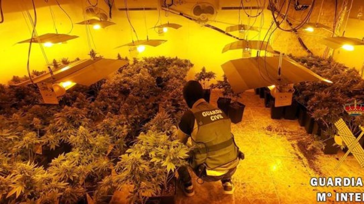 Actuación de la Guardia Civil.