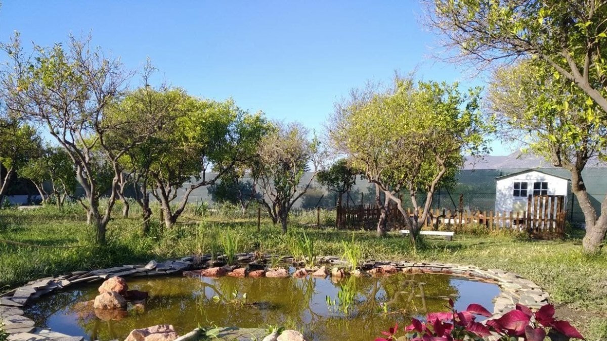 Tierra Active School en Camino Casa Alta, Pechina. Almería.