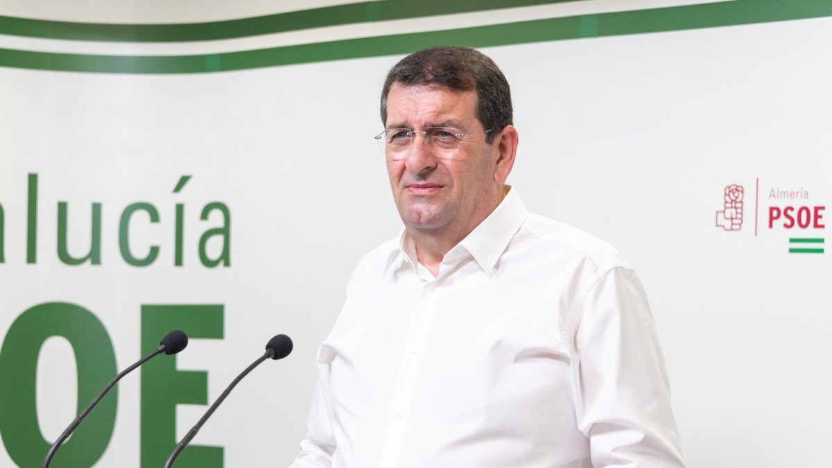 El portavoz socialista en Vera, Martín Gerez.