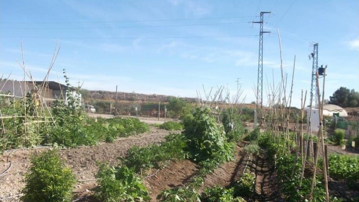 Huerto de la iniciativa, en una imagen de archivo.