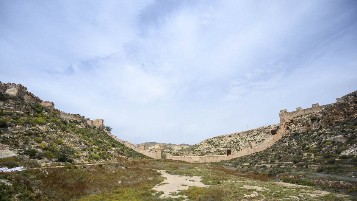 Zona sobre la que se va a actuar