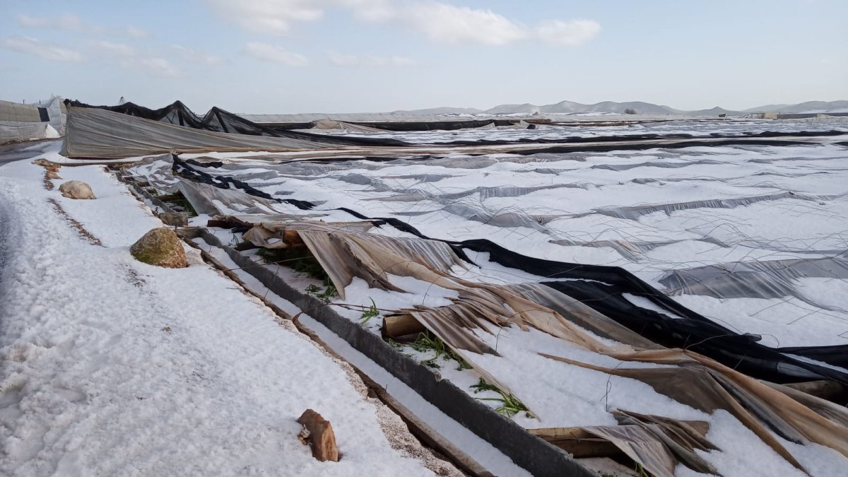 Daños por granizo en invernaderos ocurridos hace unos meses