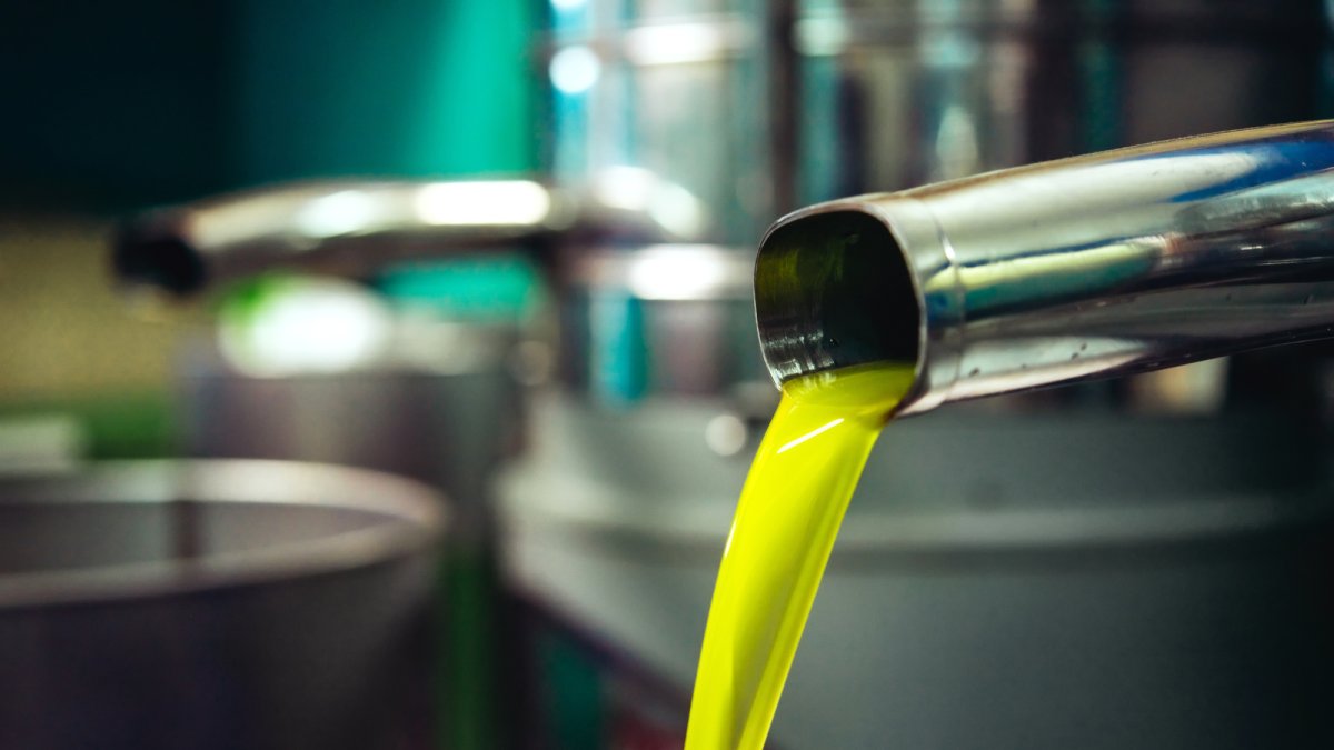 La consejera de Agricultura destaca el repunte del aceite de oliva.