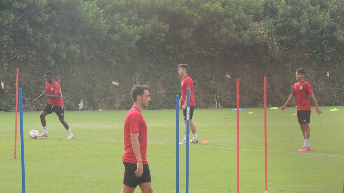 Aguza en el campo de la Vega de Acá con el filial.
