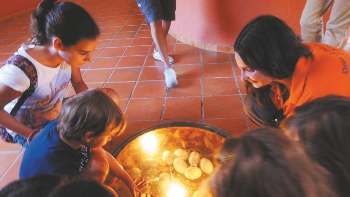 Alumnos en un taller en Oasys MiniHollywood.