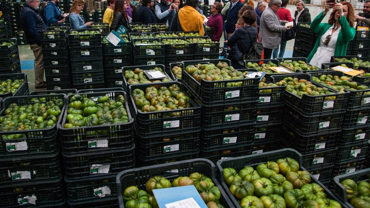 El agro almeriense pivota sobre aumentos de producción.