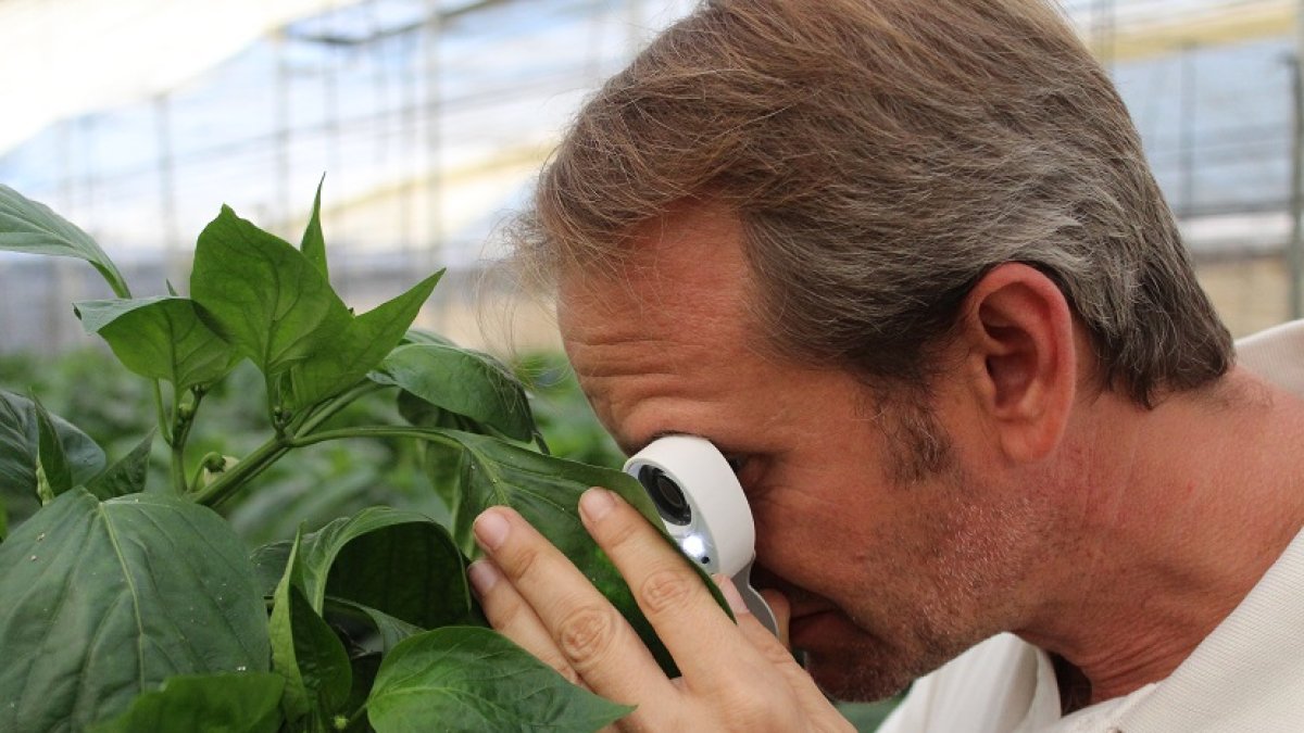 Arranca un proyecto que desarrolla estrategias de producción en agroecosistemas.