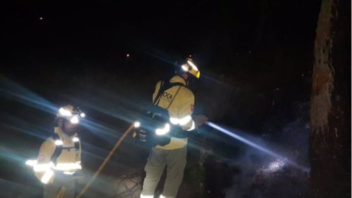 Un efectivo del Infoca interviene esta madrugada en las tareas contra las llamas en Sierra Bermeja. /Foto: Plan Infoca