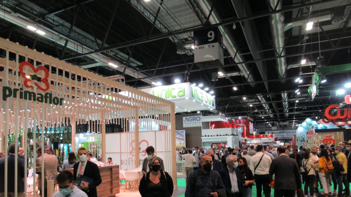 Animación \'prepandemia\' en la zona de Almería en IFEMA