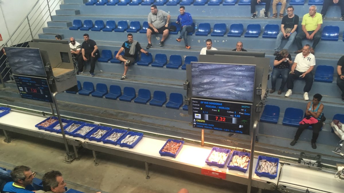 Subasta vespertina en la lonja de Almería.