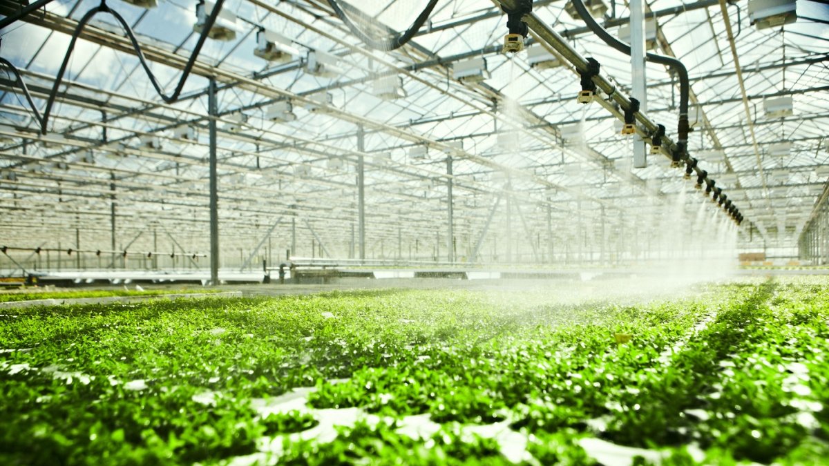 La UE autoriza a España a destinar ayudas públicas a modernizar invernaderos