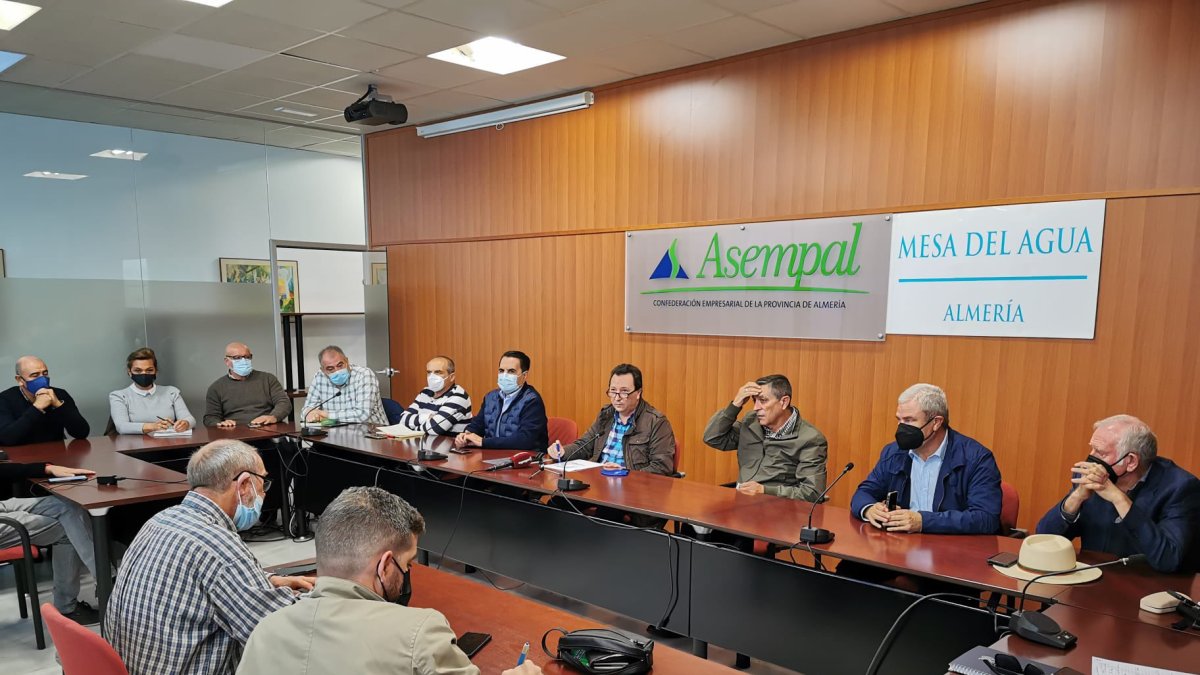 La Mesa del Agua de Almería exige al Gobierno que desarrolle la Ley que fija en 30 céntimos el precio del agua desalada para riego.