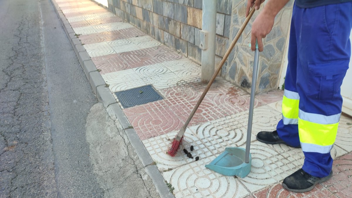 Concienciación excrementos caninos.