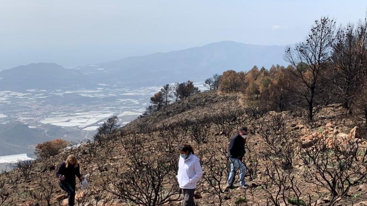 Parte de la zona arrasada por las llamas.
