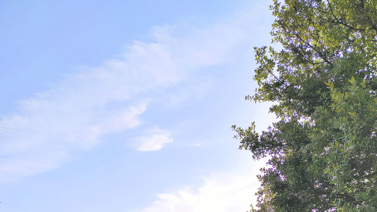 Paterna del Río y los tres ejes con los que crecer creciendo.