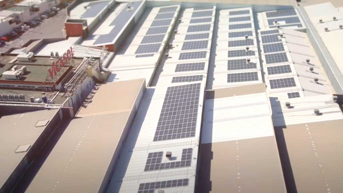 Vicasol autoabastece de energía renovable sus centros de trabajo gracias a la instalación de placas solares.