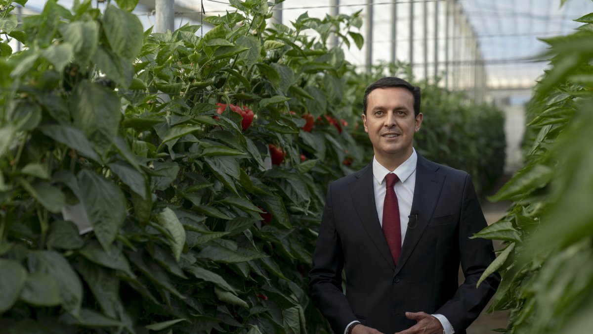 Javier Aureliano García, presidente de la Diputación de Almería.