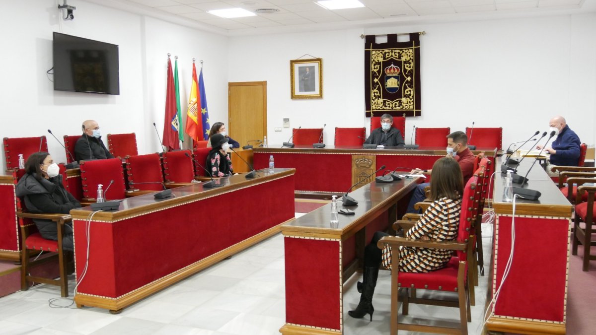 Imagen del pleno en Adra.