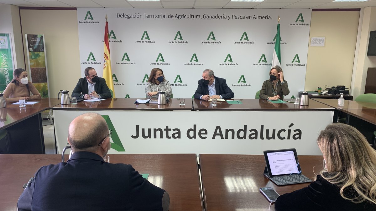 Junta y Hortyfruta analizan los pasos a seguir tras el Decreto de Simplificación.